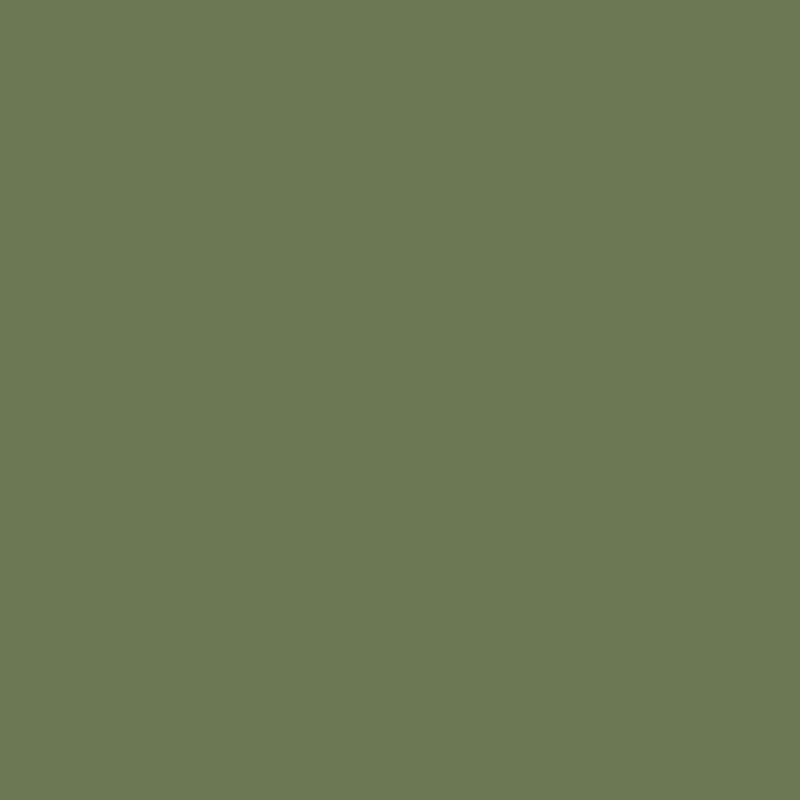 Calke Green by Farrow & Ball