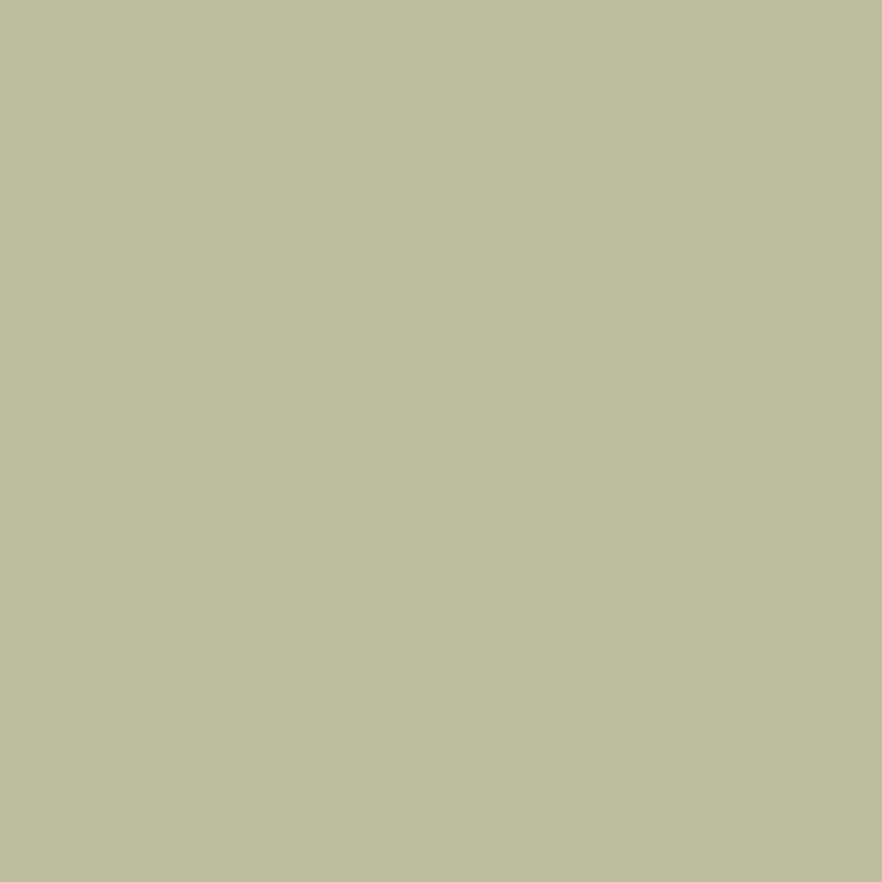 Vert De Terre by Farrow & Ball