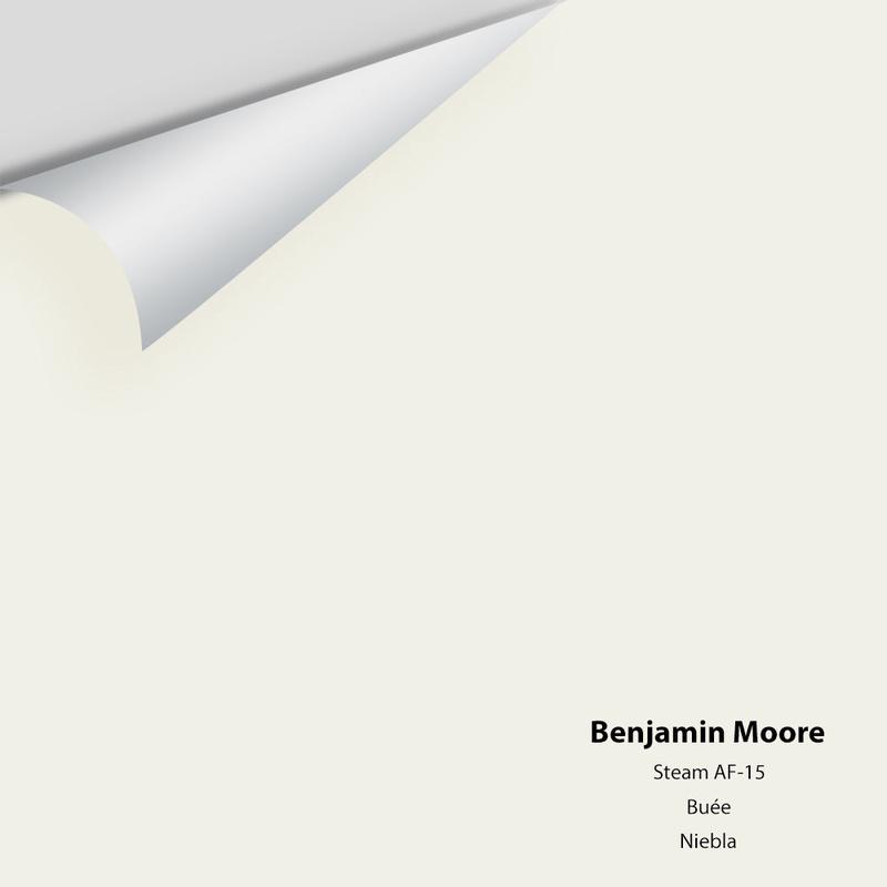 Steam AF-15 Peel & Stick Sample