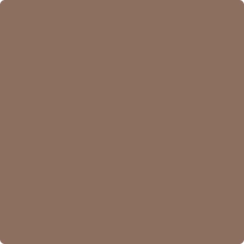 1014 Chocolate Pudding by Benjamin Moore