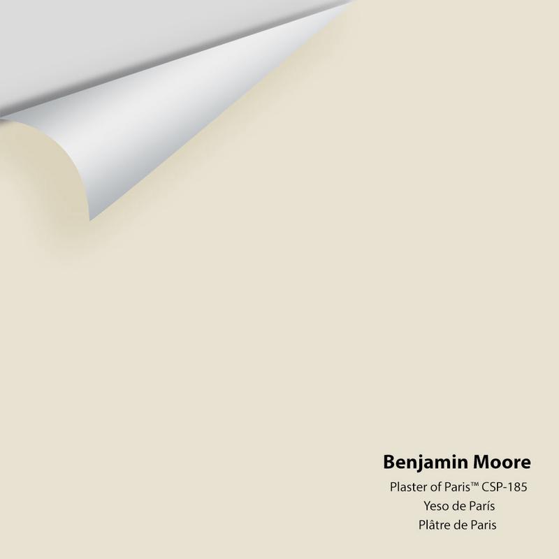 Plaster of Paris CSP-185 Peel & Stick Sample