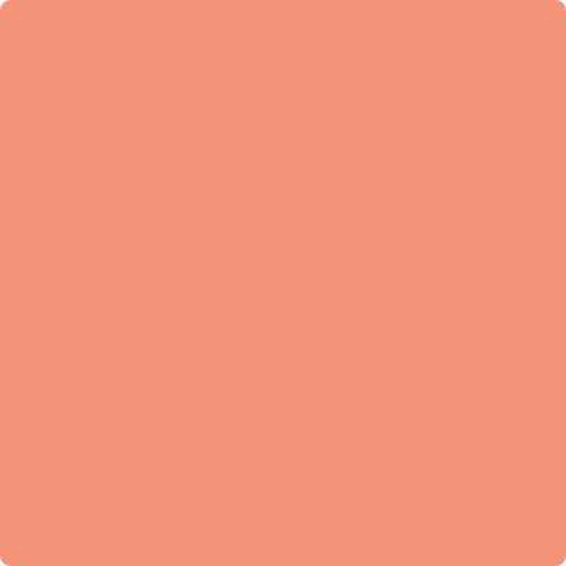 019 Salmon Run by Benjamin Moore