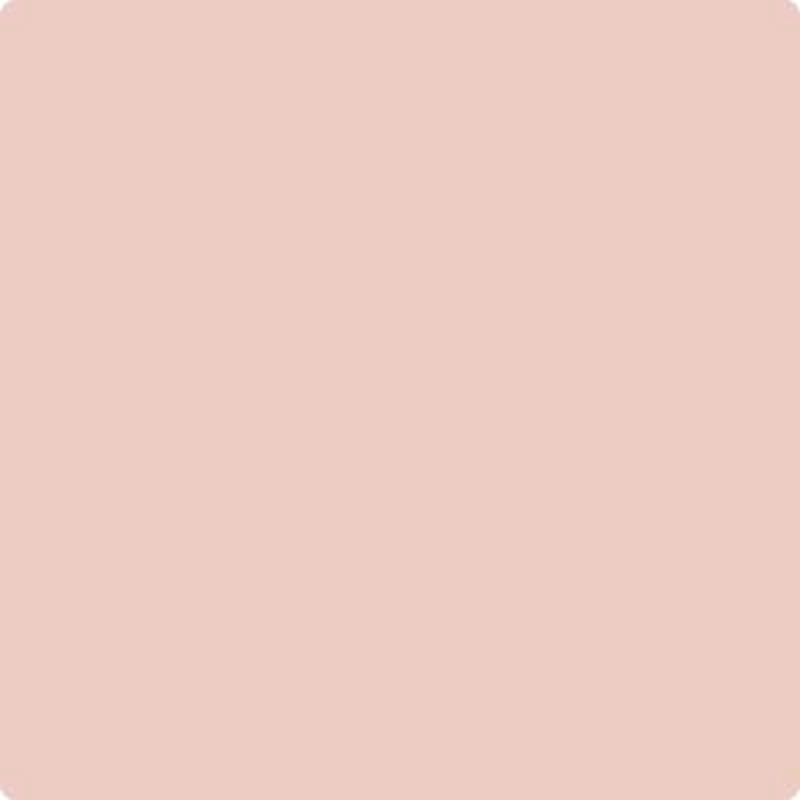 037 Rose Blush by Benjamin Moore