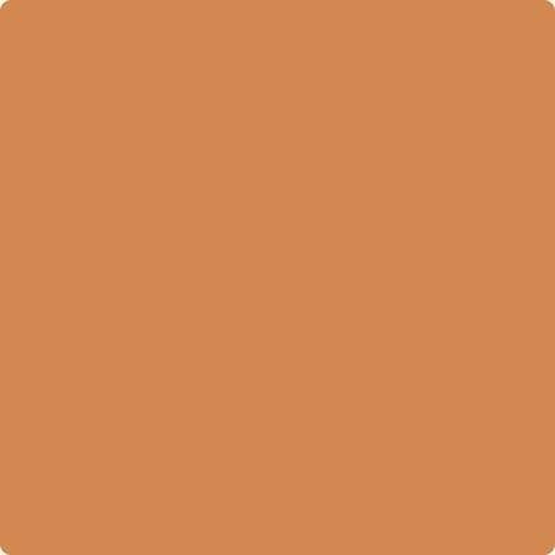 119 Cornucopia Tan by Benjamin Moore