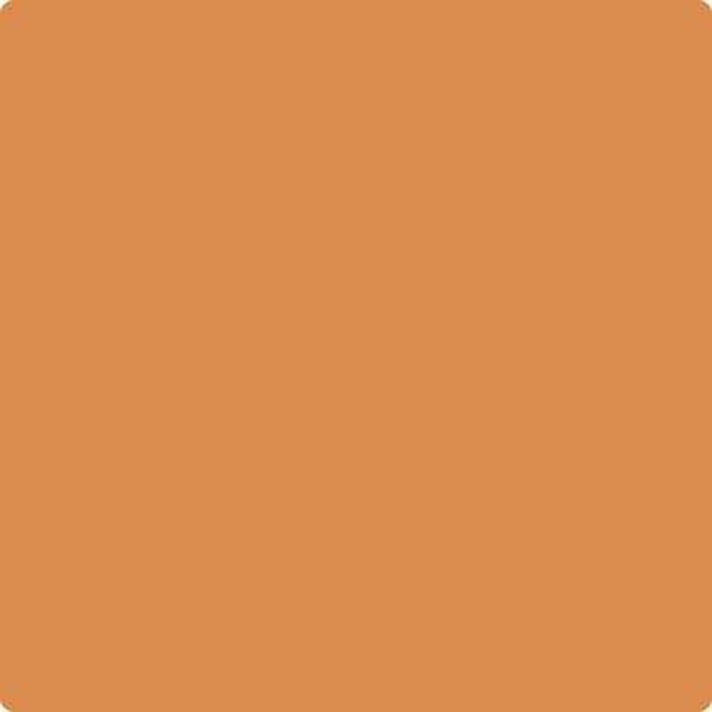 126 Pumpkin Spice by Benjamin Moore