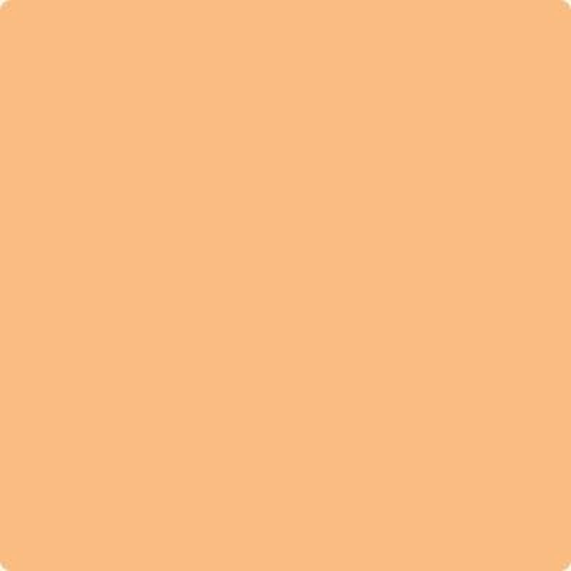131 Seville Oranges by Benjamin Moore