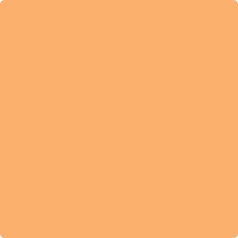 132 Tangerine Zing by Benjamin Moore