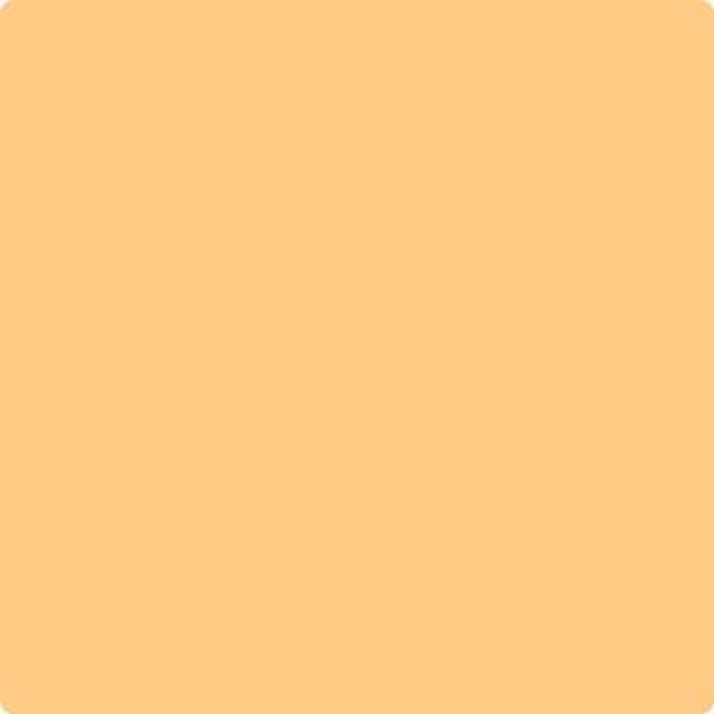 152 Florida Orange by Benjamin Moore