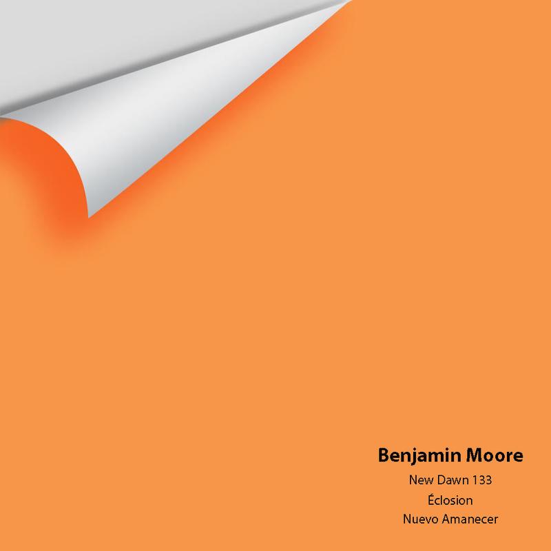 New Dawn 133 Peel & Stick Sample