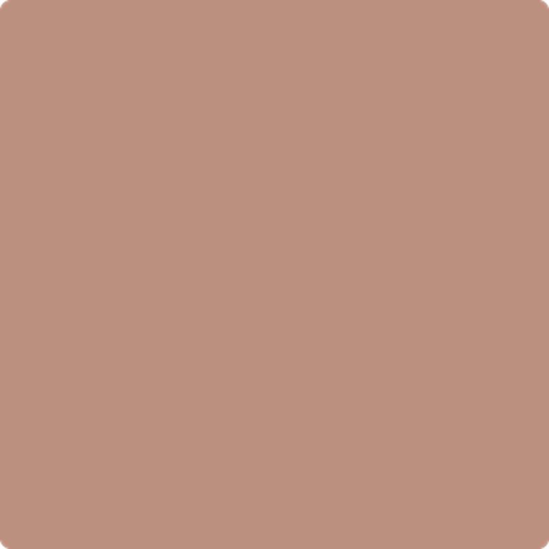 1181 Foxy Brown by Benjamin Moore