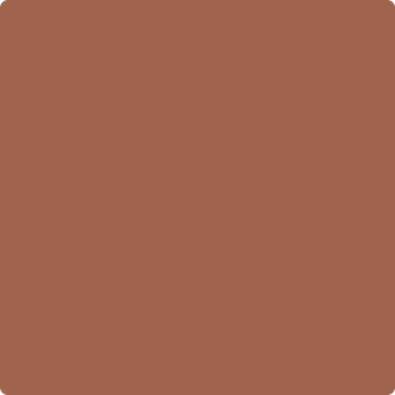 1196 Burnt Sienna by Benjamin Moore