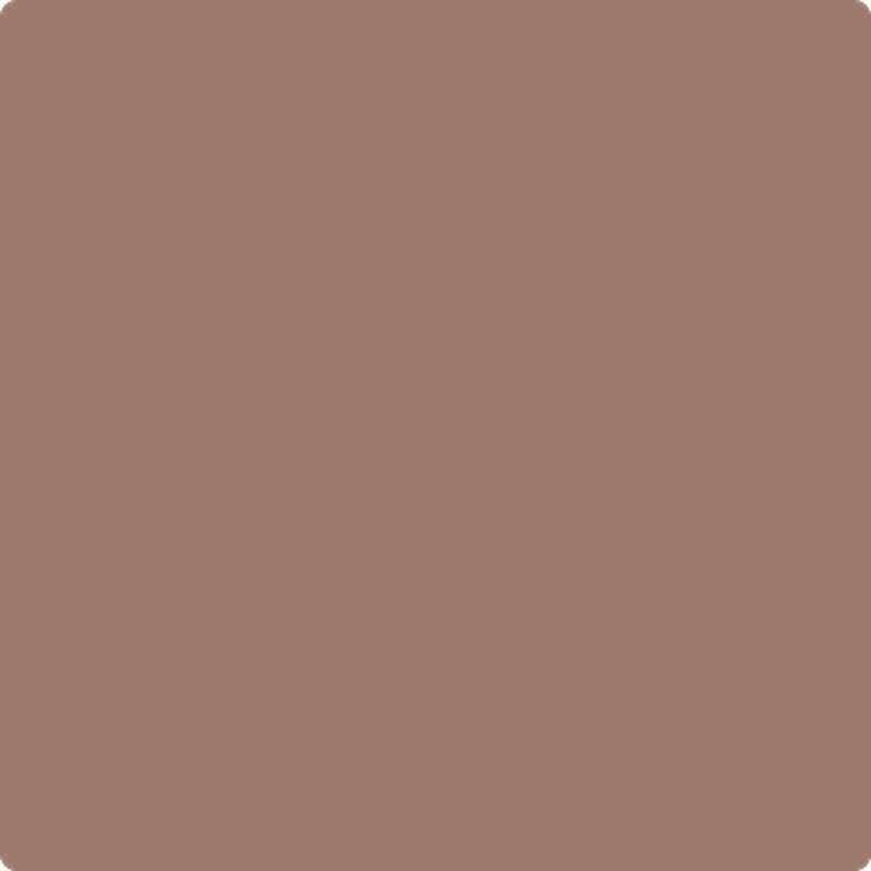 1235 Fox Hollow Brown by Benjamin Moore
