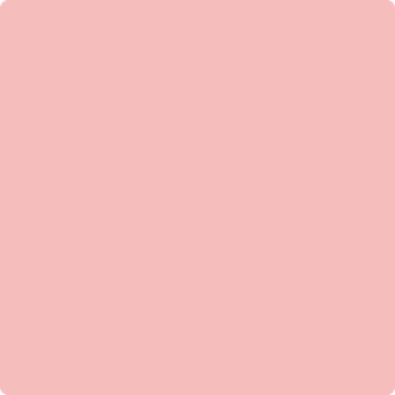 1296 Sailor's Delight by Benjamin Moore