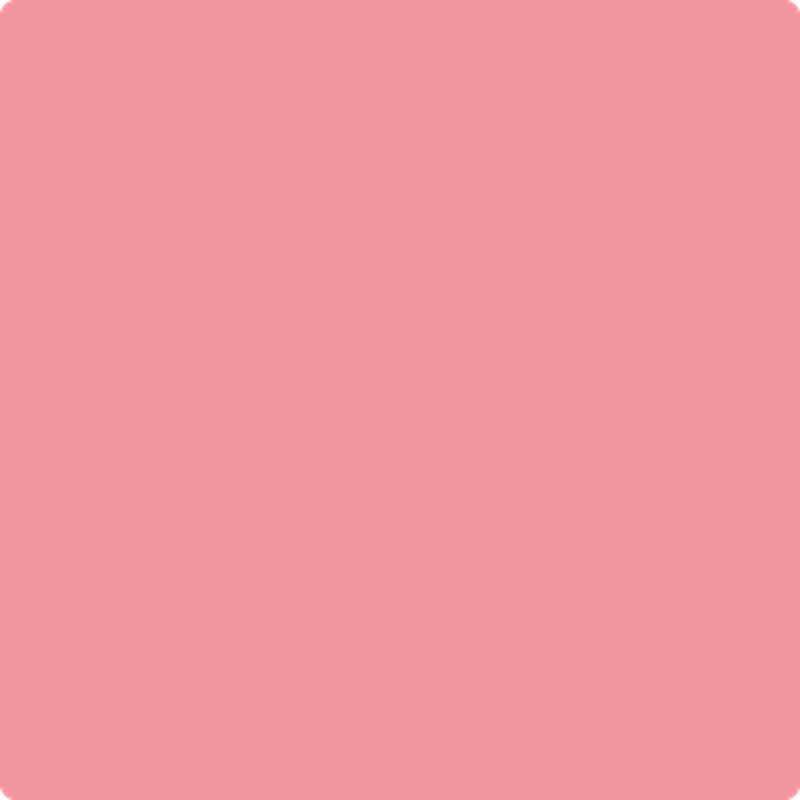 1334 Pretty in Pink by Benjamin Moore