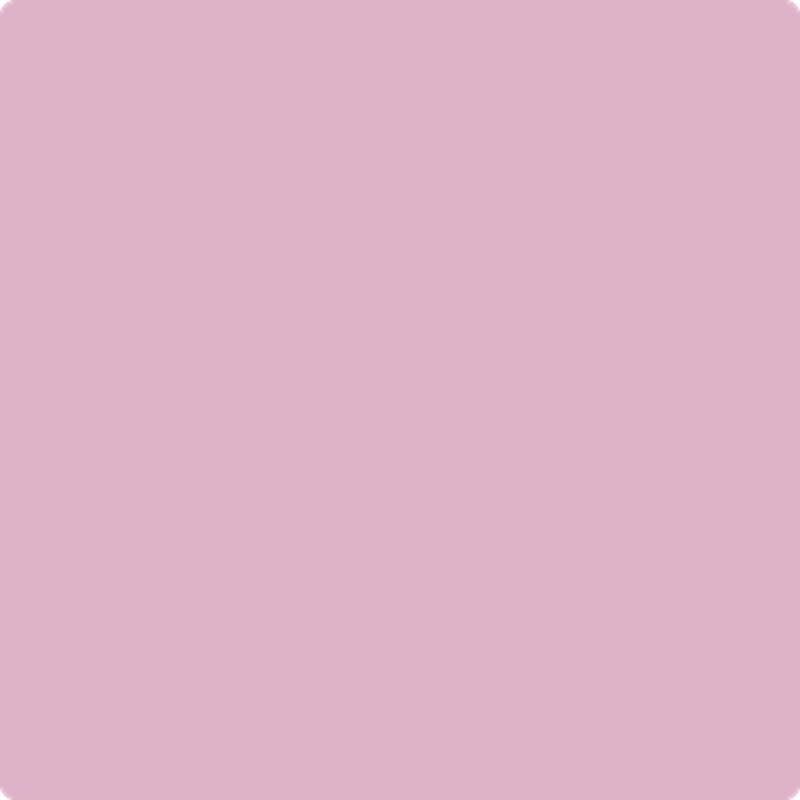 1361 Countryside Pink by Benjamin Moore