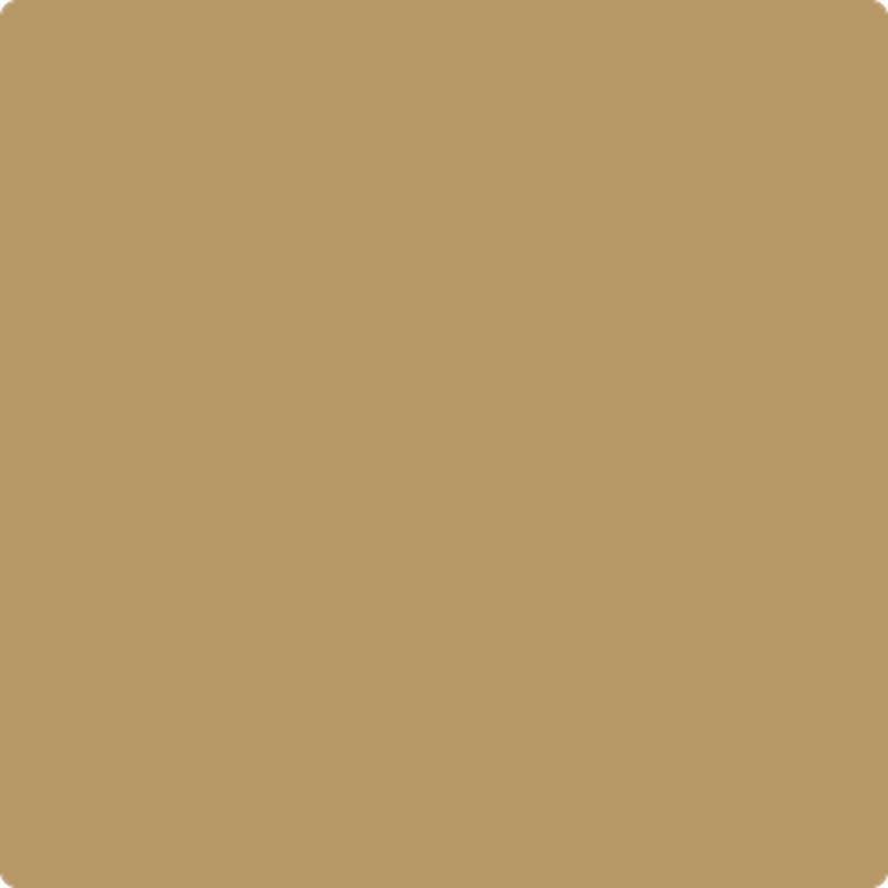 1098 Toasted Almond by Benjamin Moore