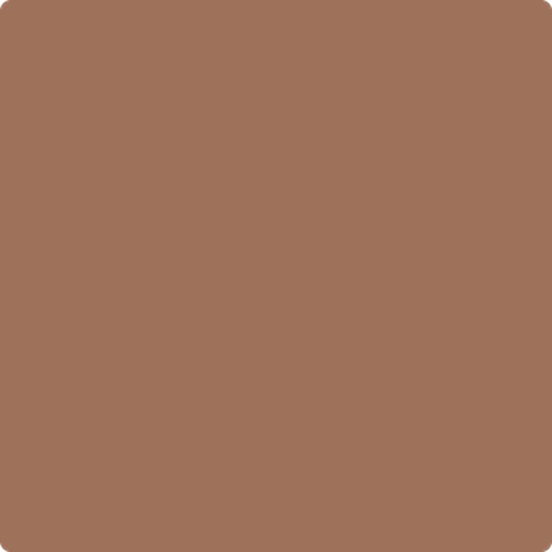 1169 Antique Copper by Benjamin Moore