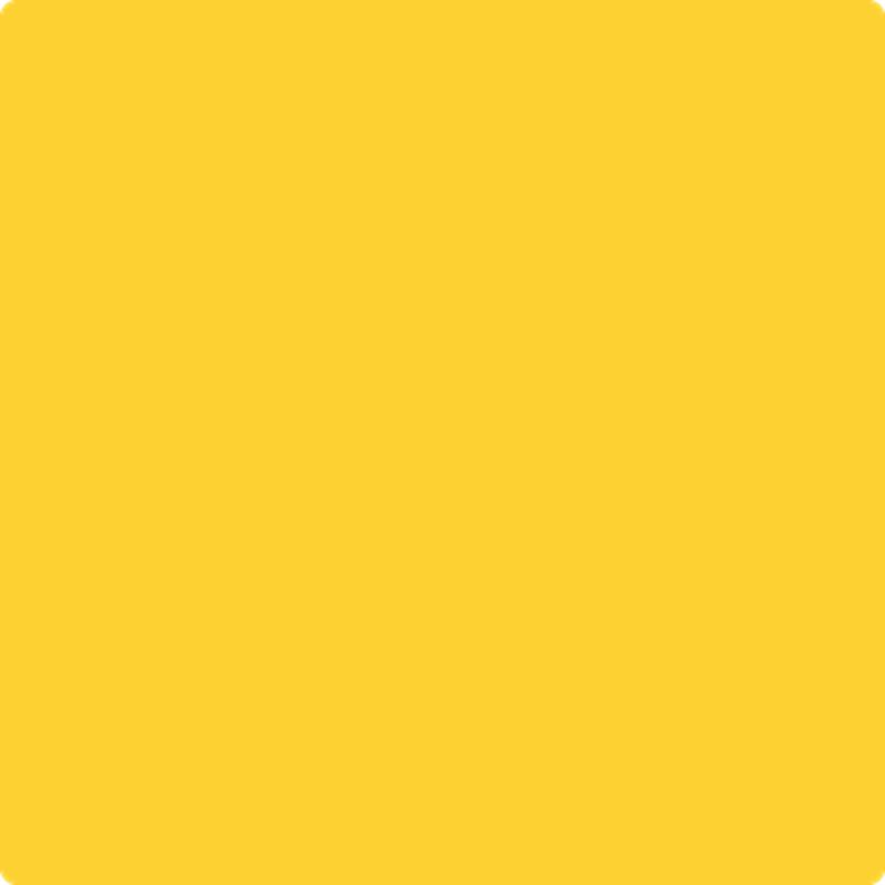 321 Viking Yellow by Benjamin Moore