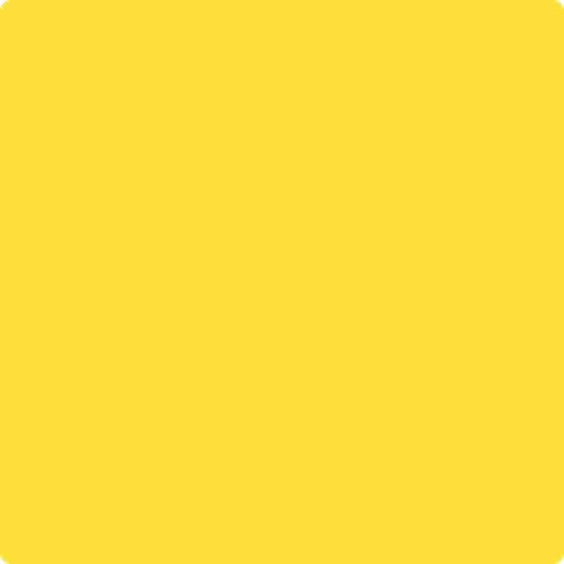 336 Bold Yellow by Benjamin Moore