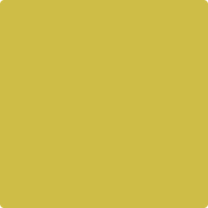 371 Bright Gold by Benjamin Moore