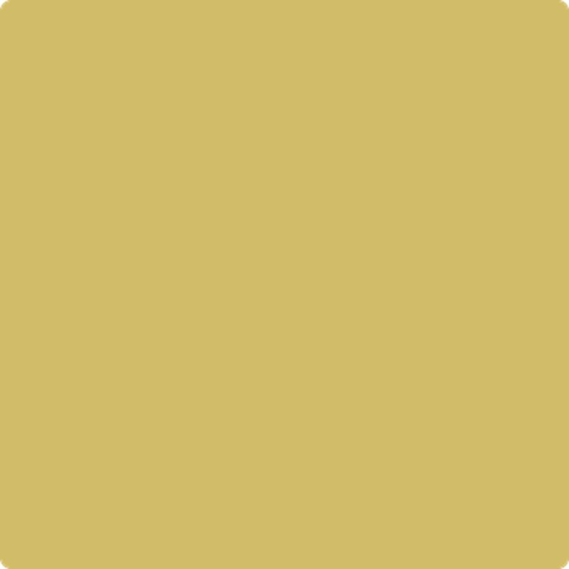 377 Mustard Field by Benjamin Moore