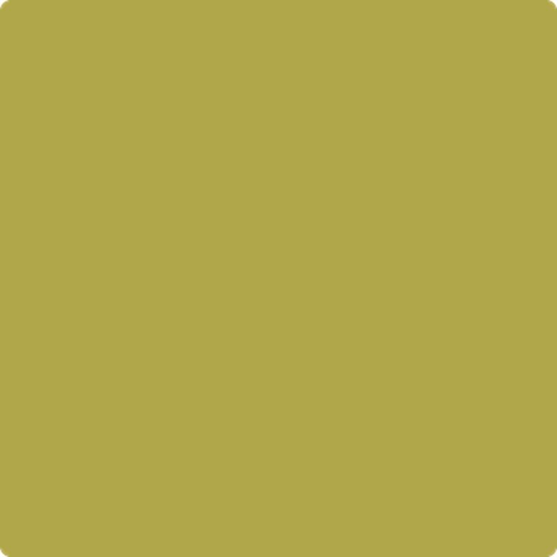 392 Olive Tree by Benjamin Moore