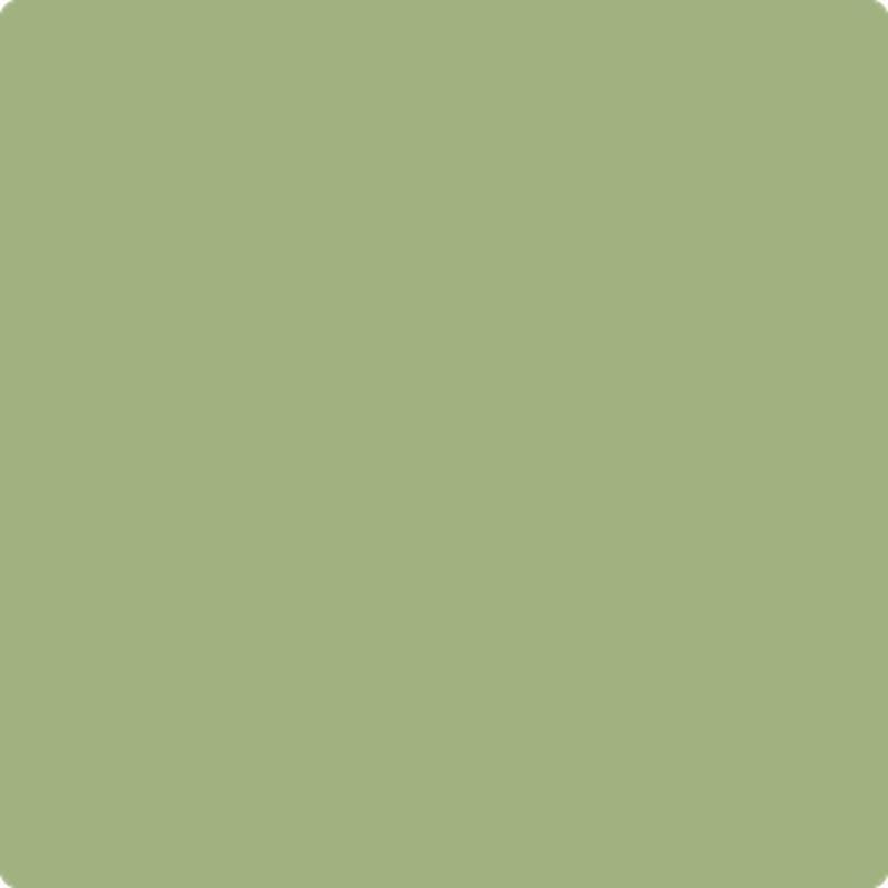 432 Grenada Green by Benjamin Moore