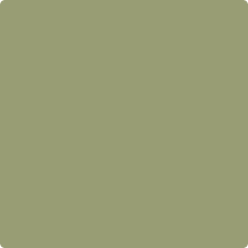 482 Misted Fern by Benjamin Moore
