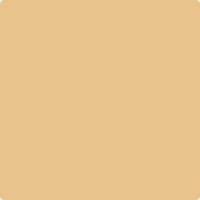 187 Gold Finch by Benjamin Moore