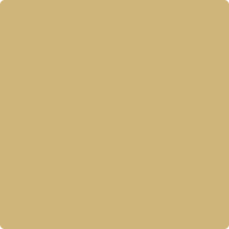 222 Mustard Seed by Benjamin Moore