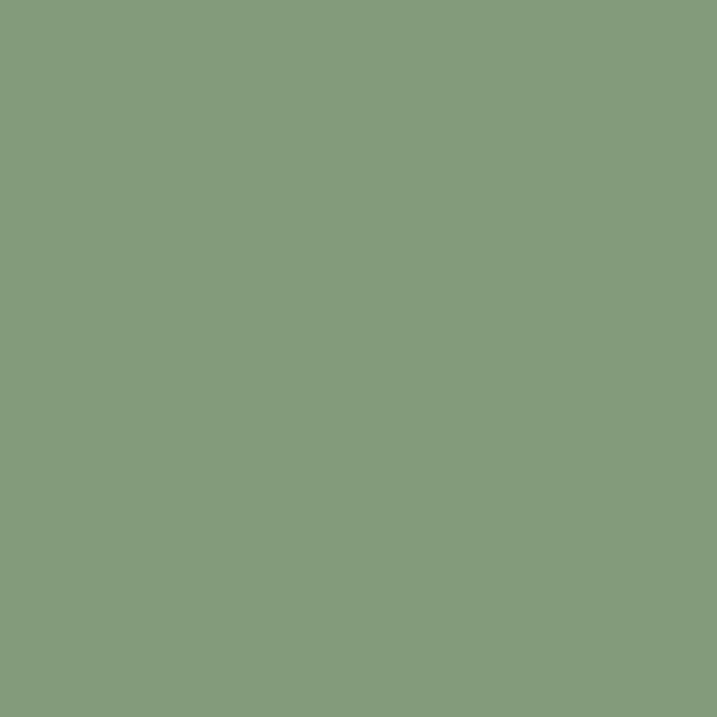 No. 33 Pea Green by Farrow & Ball