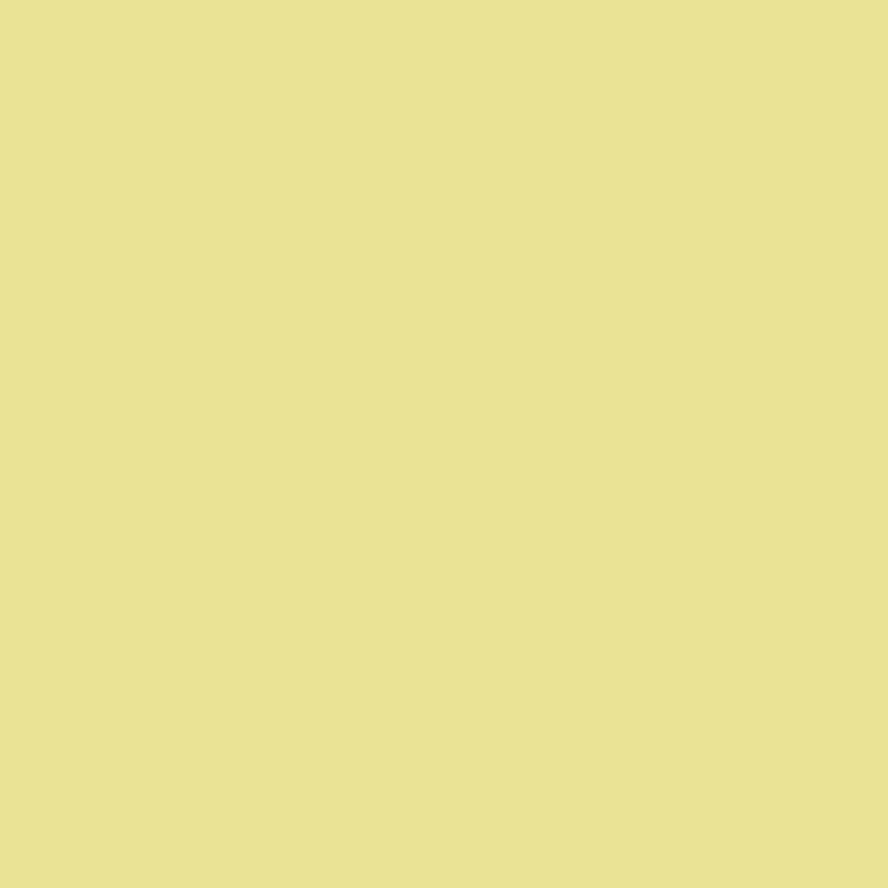 No. 9802 Butterweed by Farrow & Ball