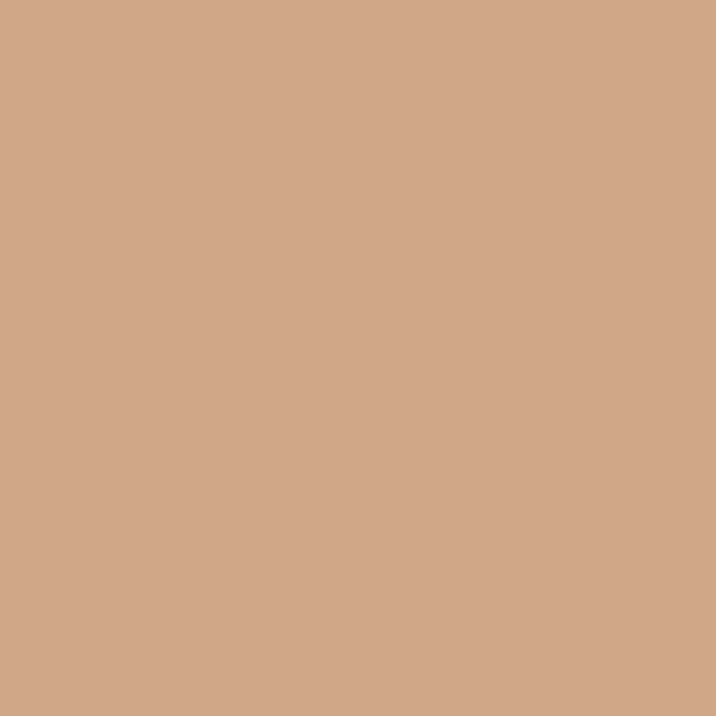 No. 9912 Fake Tan by Farrow & Ball