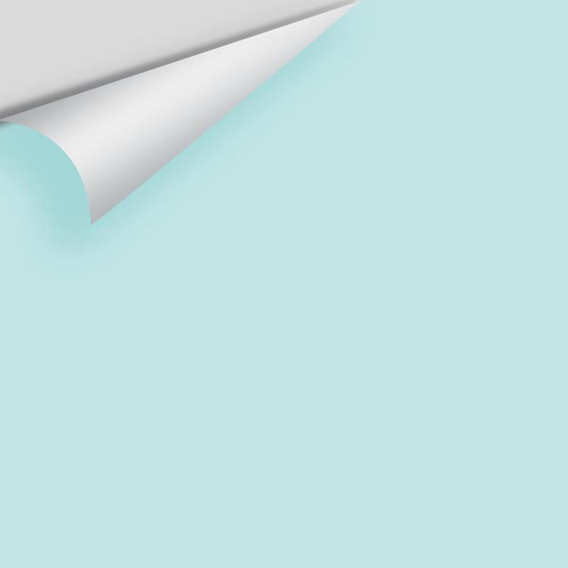 Forget Me Not 2049-60 Peel & Stick Sample