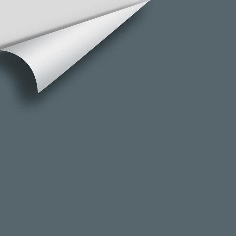 Nocturnal Gray 2135-30 Peel & Stick Sample