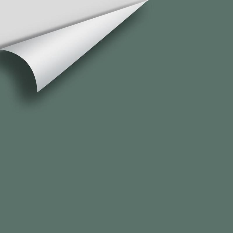 Jack Pine 692 Peel & Stick Sample