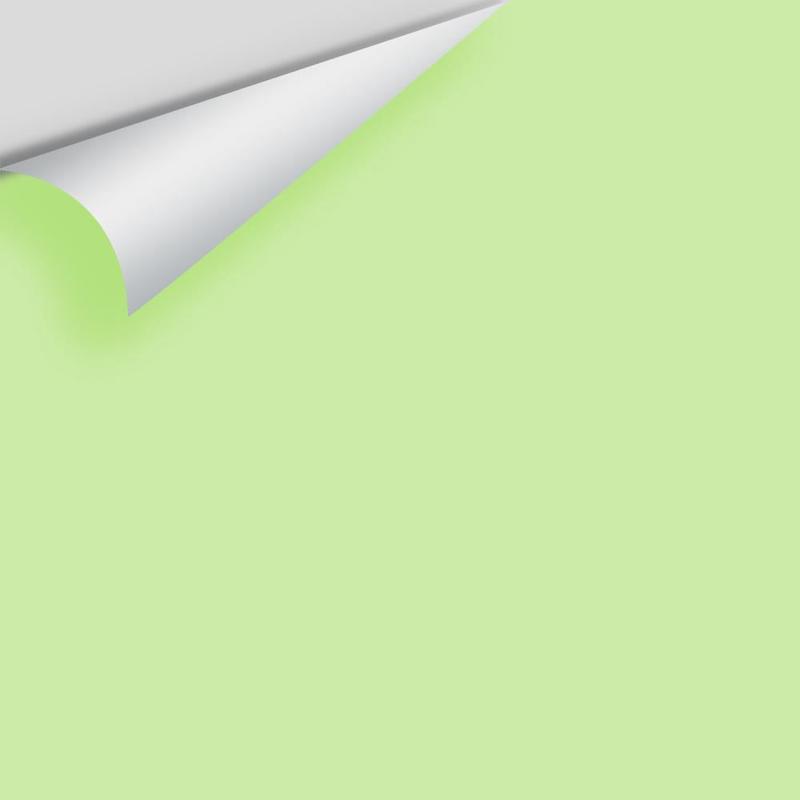 Key Lime 2031-50 Peel & Stick Sample