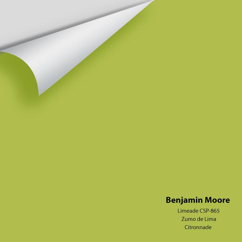 Limeade CSP-865 Peel & Stick Sample