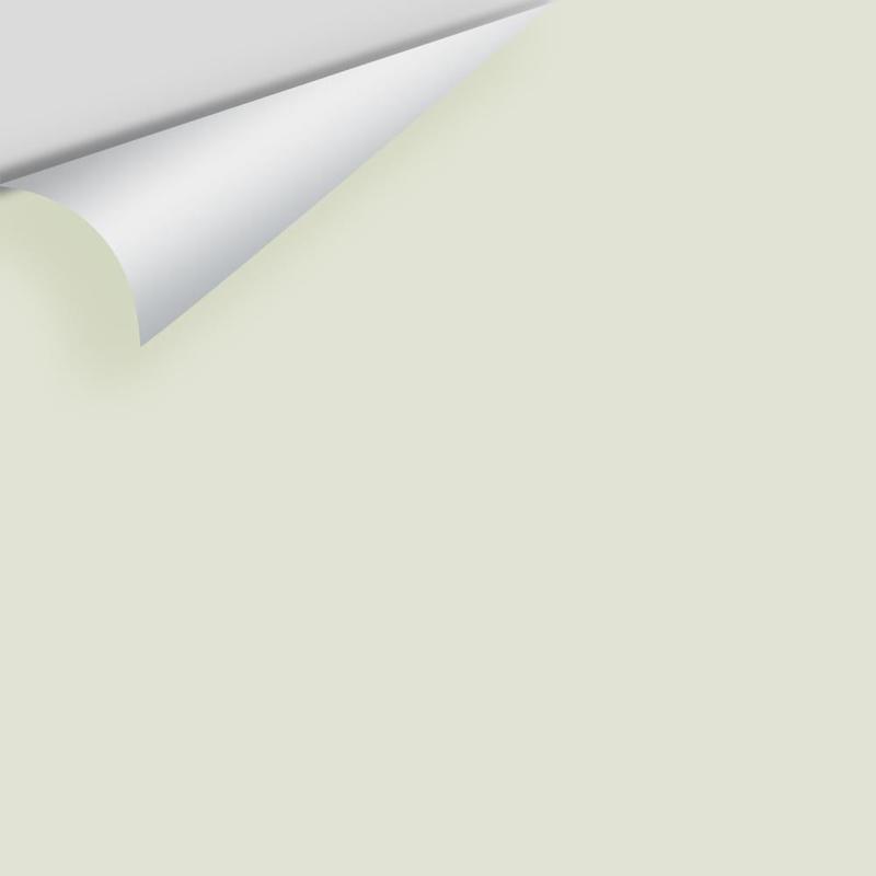 Silken Pine 2144-50 Peel & Stick Sample