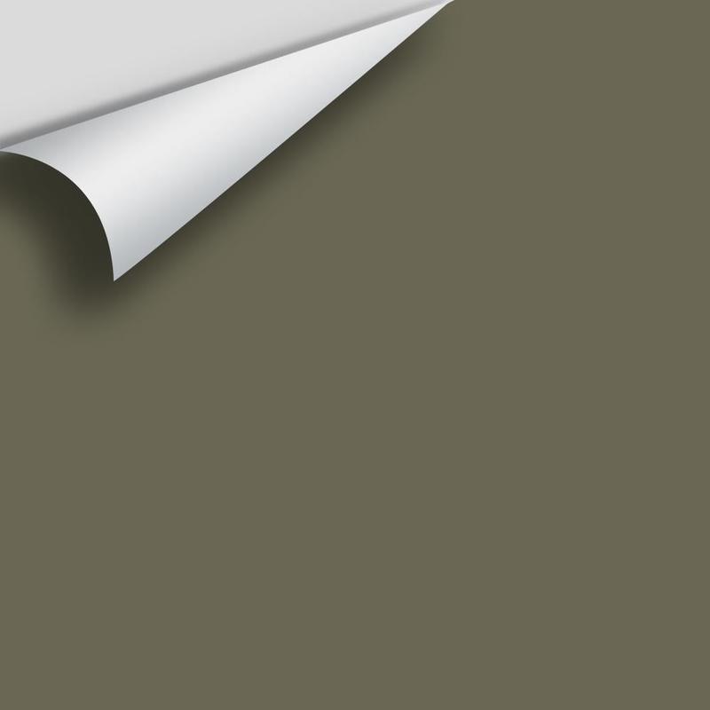 Trailing Vines 1505 Peel & Stick Sample