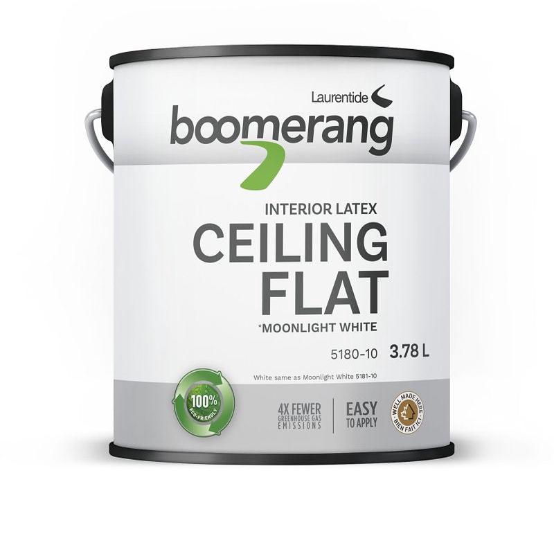 5180 - 10 CEILING PNT WHT3.78L