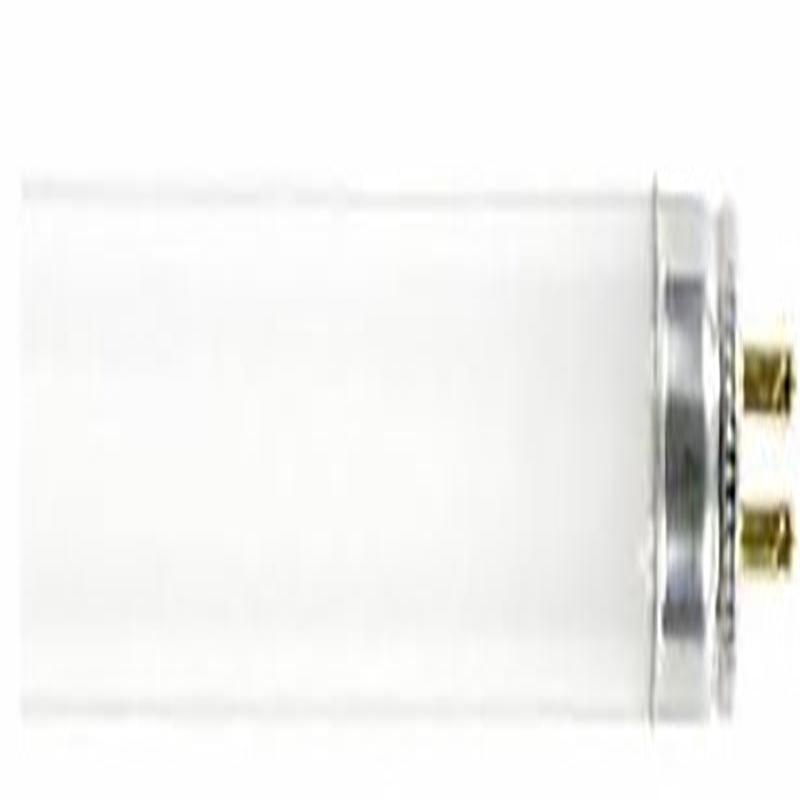 GE 15986 Light Bulb, 6 W, T5 Lamp, G5 Miniature Bi-Pin Lamp Base, 295 Lumens, 4100 K Color Temp, Cool White Light