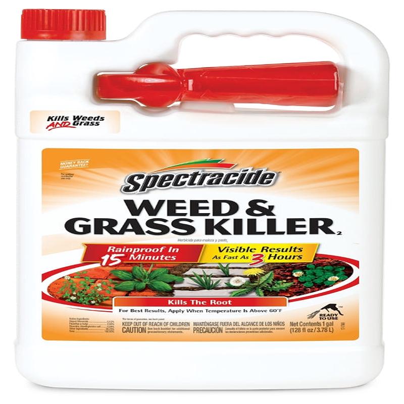 Spectracide HG-96017 Weed and Grass Killer, Liquid, Amber, 1 gal Can, Mild Aromatic