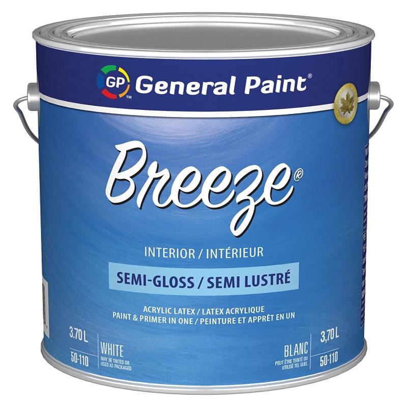 50110-16 PAINT INT SGLS WHT G