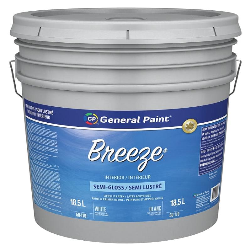 50110-20 PNT INT SGLS WH PAIL