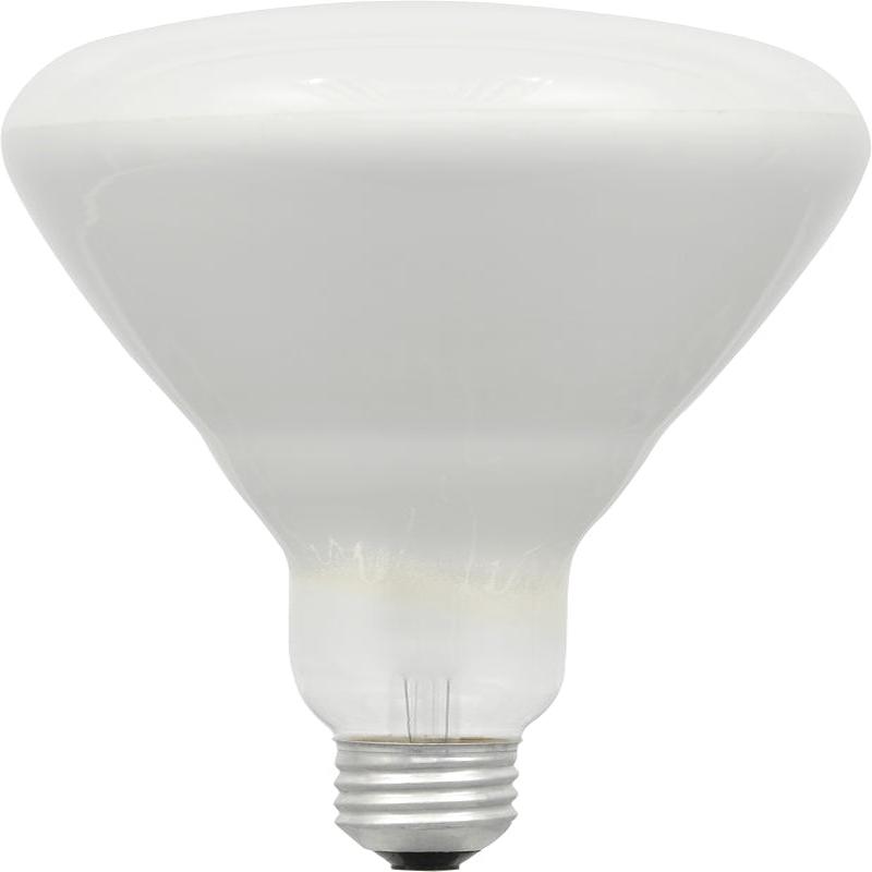 10079 BULB HALOGEN FLOOD 50W