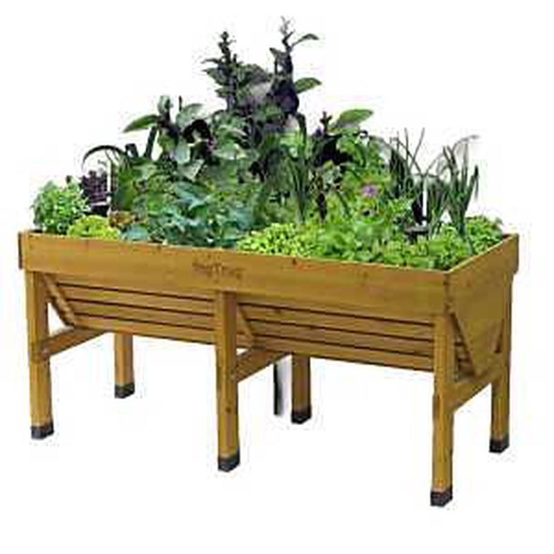 VegTrug Classic SWCK1800 Self-Watering Kit, Plastic, Black